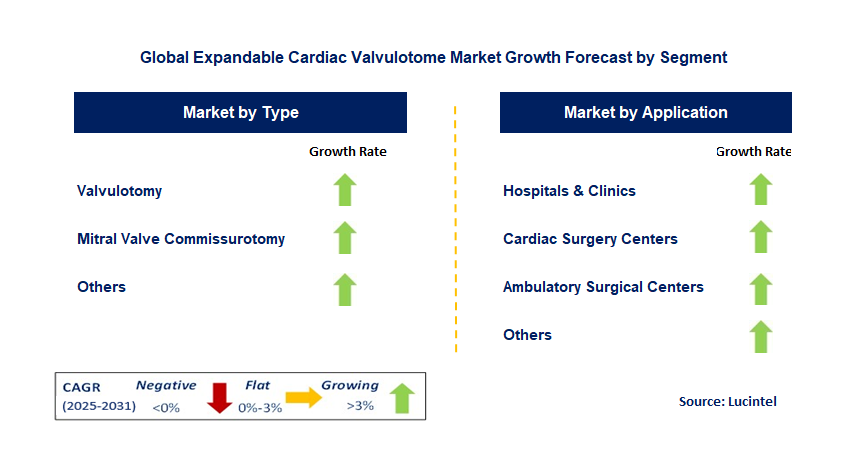 Expandable Cardiac Valvulotome Market by Segment